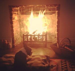 Crosby by the fire on a Captain, rug and hand printed linen pillow